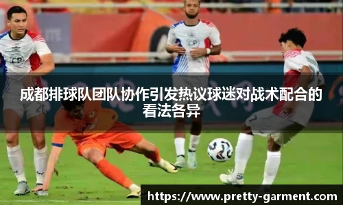 成都排球队团队协作引发热议球迷对战术配合的看法各异